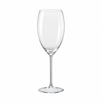 2x GRANDIOSO - witte wijn wijnglazen - 450ml