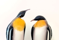 Pinquins keizer setje