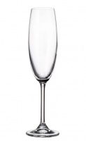 COLIBRI champagne glas flute - 220ml