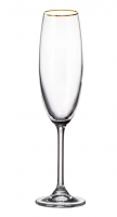 COLIBRI champagne glas flute 220ml met GOUDEN rand