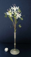 Witte bloemen 2