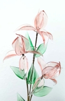 Roze bloemen 2